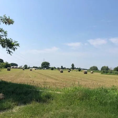 Pecore Ribelli Farmház