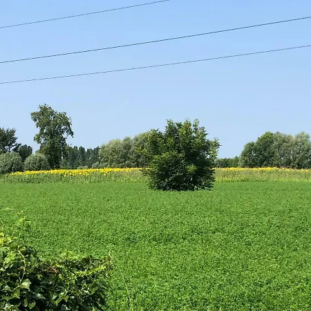 Pecore Ribelli Farmház Mira