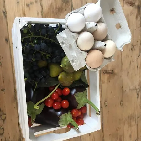 Pecore Ribelli Farmház Mira