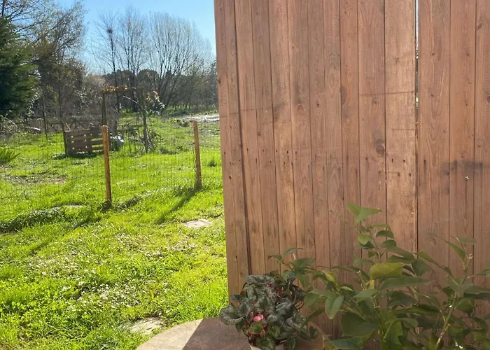 Pecore Ribelli ميرا