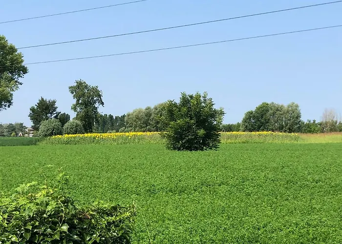 Pecore Ribelli مزرعة للإقامة ميرا