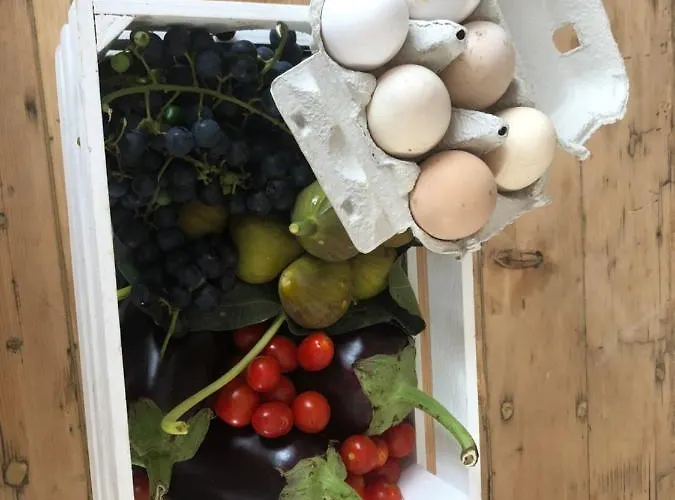 Pecore Ribelli Feriegård Mira