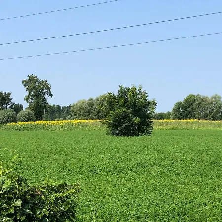 Pecore Ribelli Feriegård Mira